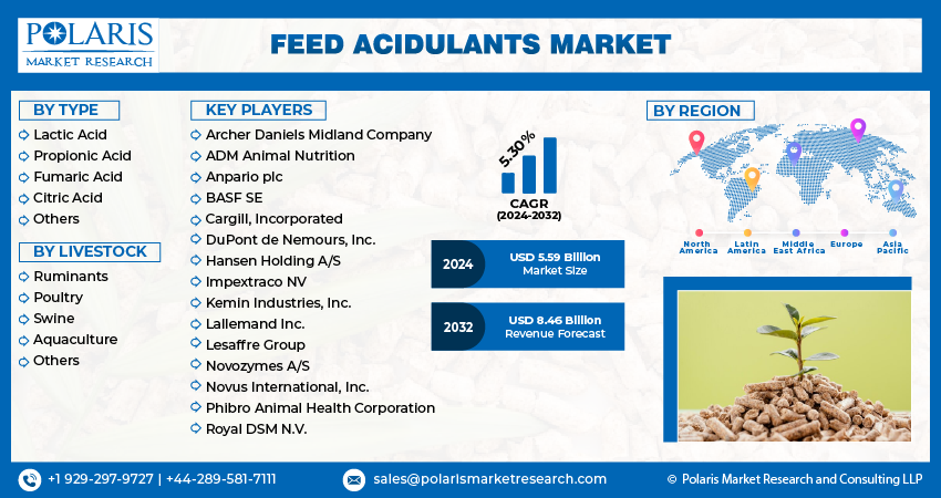 Feed Acidulants Market Size